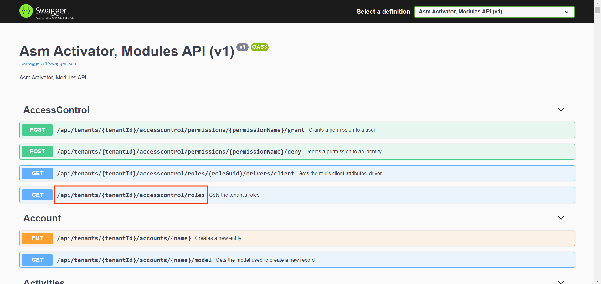 Activator API Documentation Presentation